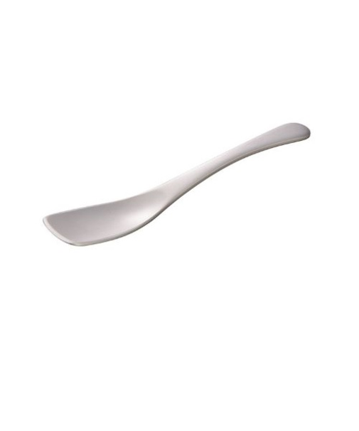 ホクア　フラップ　アイスクリームスプーン　シャインシルバー