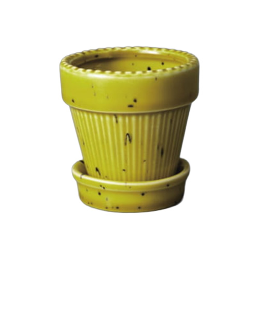 トロンコ（TRONCO）　Kaunis　Standard　Sサイズ　TRKN-008　イエロー