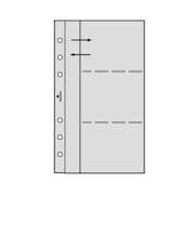 アシュフォード（ASHFORD）　ペーパーリフター　MINI6　0069－100
