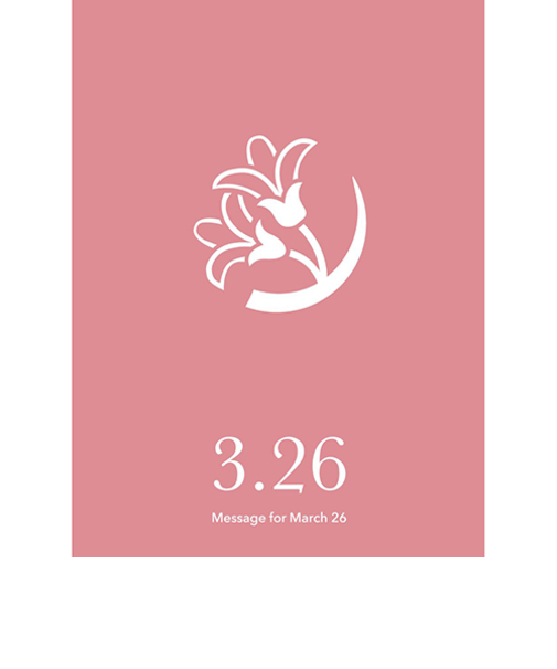 草紙堂　花結びメッセージカード　3月26日