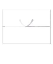 長門屋商店　プリンタ対応　のし紙　仏B5　イ－997　10枚入