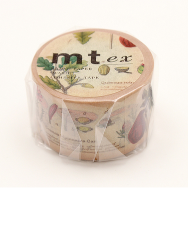 カモ井　mt　ex　MTEX1P34R　図鑑／植物