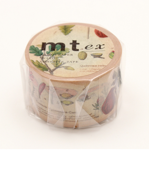 カモ井　mt　ex　MTEX1P34R　図鑑／植物