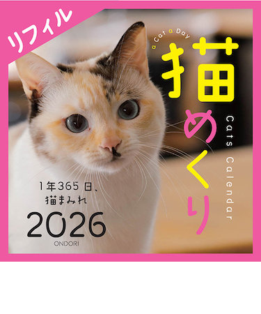 【2026年版・卓上】　中央経済社　日めくり　猫めくりリフィル　CK－C26－02