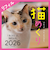 【2026年版・卓上】　中央経済社　日めくり　猫めくりリフィル　CK－C26－02