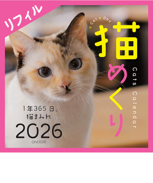 【2026年版・卓上】　中央経済社　日めくり　猫めくりリフィル　CK－C26－02