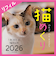 【2026年版・卓上】　中央経済社　日めくり　猫めくりリフィル　CK－C26－02