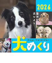【2026年版・卓上】　中央経済社　日めくり　犬めくり　CK－D26－01