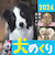 【2026年版・卓上】　中央経済社　日めくり　犬めくり　CK－D26－01