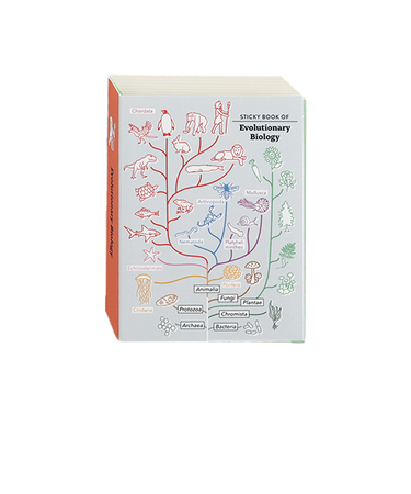 グリーンフラッシュ（GreenFlash）　STUDY　HOLIC　スティッキーブック　ST－319　進化生物学