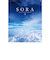 【2026年版・壁掛】　全協　SORA－空－　NK-134
