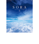 【2026年版・壁掛】　全協　SORA－空－　NK-134