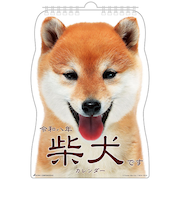 【2026年版・壁掛】　アクティブコーポレーション　柴犬です　26ACL-65