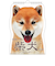 【2026年版・壁掛】　アクティブコーポレーション　柴犬です　26ACL-65