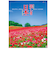 【2026年版・壁掛】　全協　美しき日本　SG-454