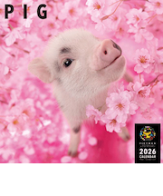 【2026年版・壁掛】　ピクトワン（PICTWAN）　ピッグ　L版　L031