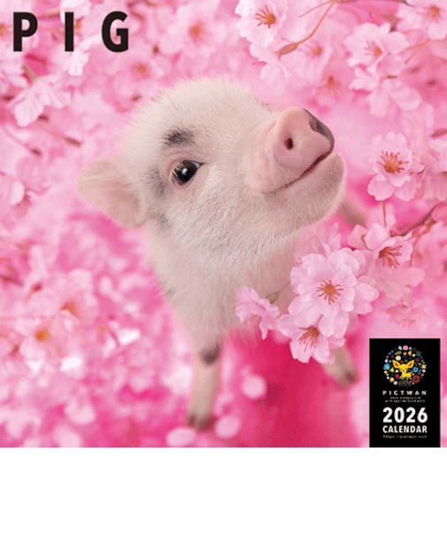 【2026年版・壁掛】　ピクトワン（PICTWAN）　ピッグ　L版　L031