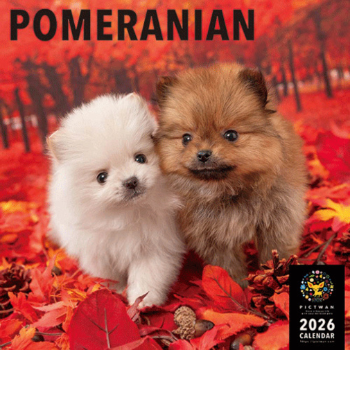 【2026年版・壁掛】　ピクトワン（PICTWAN）　ポメラニアン　L版　L019