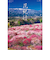 【2026年版・壁掛】　全協　フィルム　花紀行　SB-253