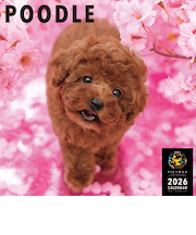 【2026年版・壁掛】　ピクトワン（PICTWAN）　プードル　L版　L020