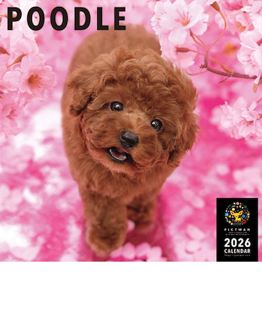 【2026年版・壁掛】　ピクトワン（PICTWAN）　プードル　L版　L020