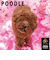 【2026年版・壁掛】　ピクトワン（PICTWAN）　プードル　L版　L020