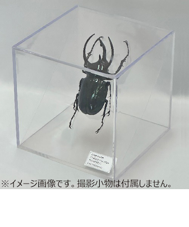 ミノル化学工業　ミノルキューブ専用透明仕切り板　LLサイズ　1枚入
