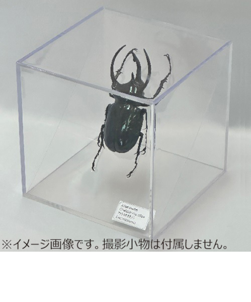 ミノル化学工業　ミノルキューブ専用透明仕切り板　LLサイズ　1枚入