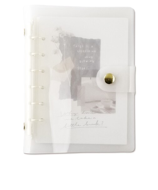 マインドウェイブ　BineA6クリアバインダー　カラード　58072　ミルクホワイト