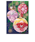 【クリスマス】　チキュウグリーティングス　和風クリスマスカード　　C07－0023