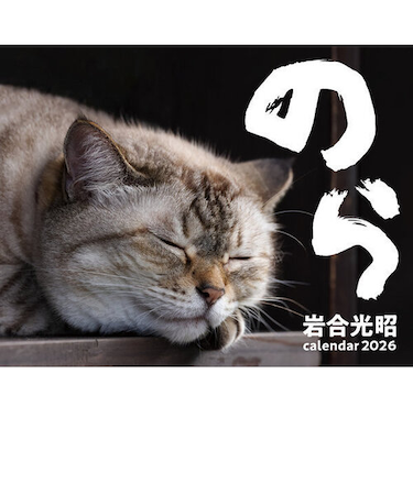 【2026年版・壁掛】　辰巳出版　猫カレンダー　のら／岩合光昭　6269