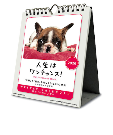 【2026年版・壁掛卓上兼用】　トライエックス（TRY-X)　　週めくり　人生はワンチャンス！　CL383
