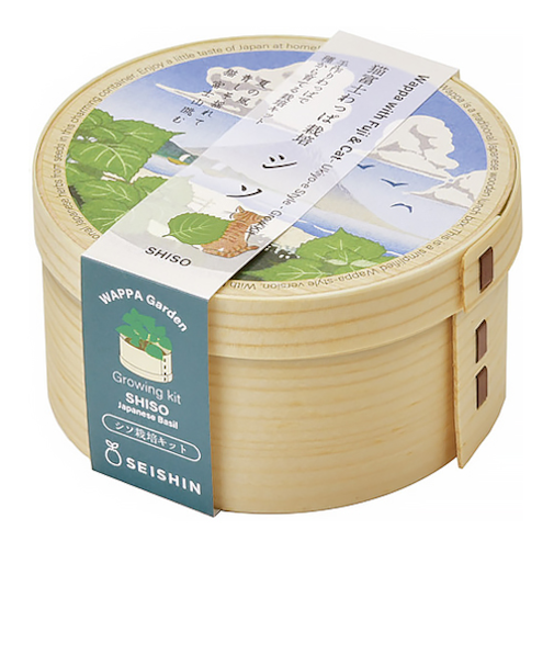 聖新陶芸　猫富士わっぱ　シソ　GD1050-2