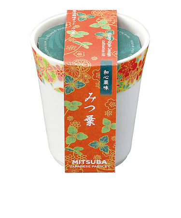 聖新陶芸　和心薬味　みつ葉　GD1049-3