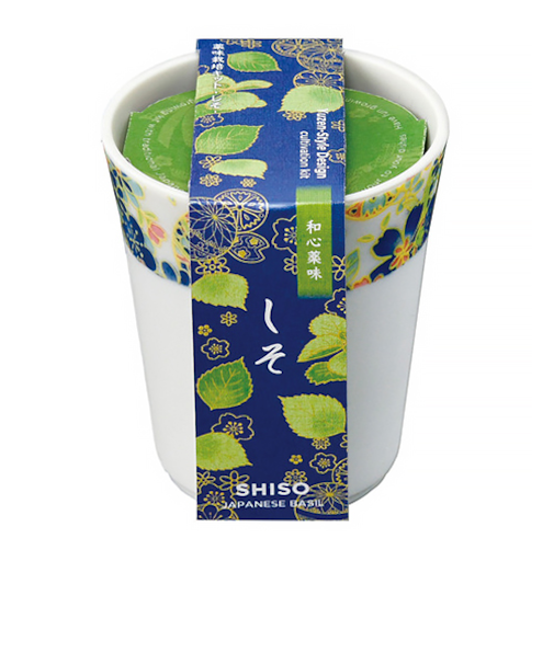 聖新陶芸　和心薬味　しそ　GD1049-1
