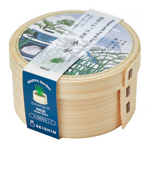 聖新陶芸　猫富士わっぱ　ネギ　GD1050-4