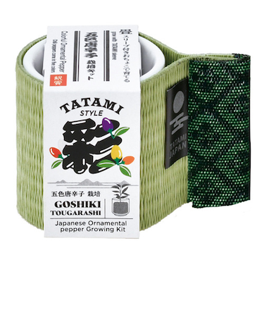 聖新陶芸　お芽でたおちょこ　畳　五色とうがらし　GD1051-3