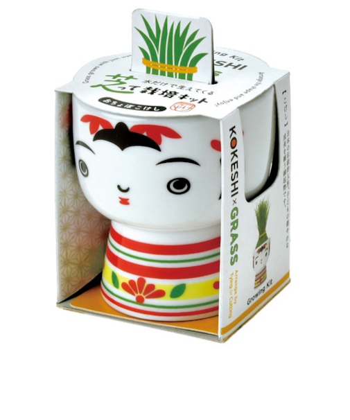 聖新陶芸　芝って栽培キット　KOKESHI　おちょぼ　GD1048-1