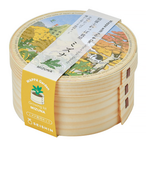 聖新陶芸　猫富士わっぱ　ミズナ　GD1050-3