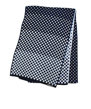 アニエスベー(agnes b.) チェッカマフ 5172AB043 ネイビー