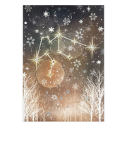 クローズ・ピン　12星座ラインストーンポストカード　水瓶座　PC16601