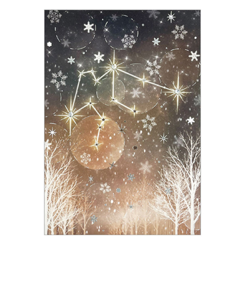 クローズ・ピン　12星座ラインストーンポストカード　水瓶座　PC16601