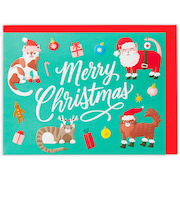 【クリスマス】ホールマーク（Hallmark）　立体クリスマスカード　847128　ねこサンタ
