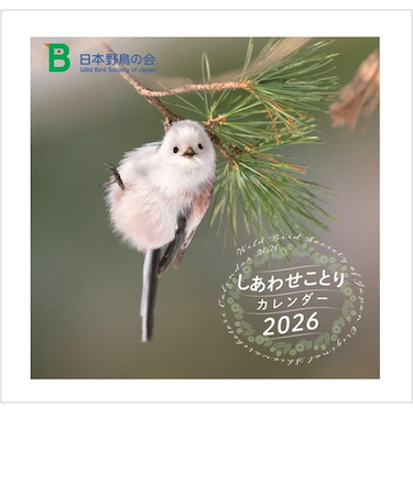【2026年版・壁掛】　日本野鳥の会　しあわせことりカレンダー　5013