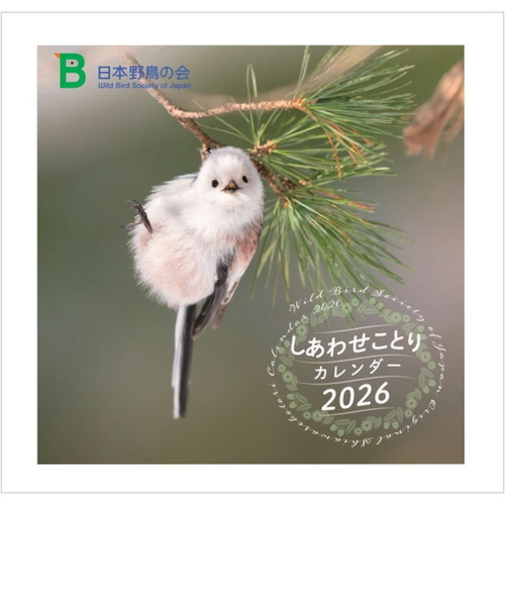 【2026年版・壁掛】　日本野鳥の会　しあわせことりカレンダー　5013