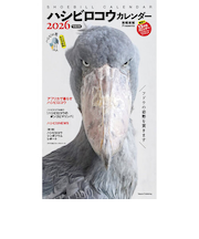 【2026年版・壁掛】　辰巳出版　ハシビロコウカレンダー／南幅俊輔　6279