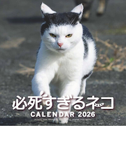 【2026年版・壁掛】　辰巳出版　必死すぎるネコカレンダー／沖昌之　6272