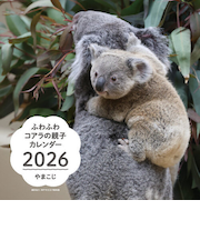 【2026年版・壁掛】　辰巳出版　ふわふわコアラの親子カレンダー　6290