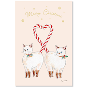 【クリスマス】アクティブコーポレーション クリスマス トコロコムギポストカード CMP-425 キャンディ