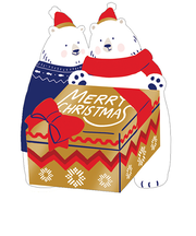 【クリスマス】グリーティングライフ クリスマスプレゼントボックスカード TK-49 シロクマ